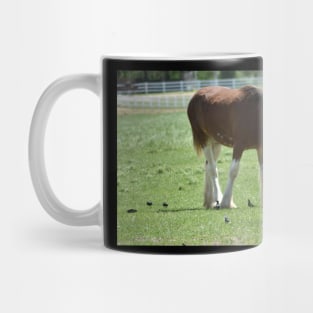 Clydesdale Mug